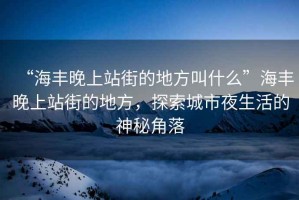 “海豐晚上站街的地方叫什么”海豐晚上站街的地方，探索城市夜生活的神秘角落