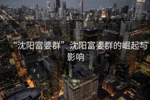 “沈陽(yáng)富婆群”沈陽(yáng)富婆群的崛起與影響