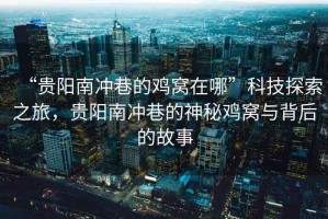 “貴陽南沖巷的雞窩在哪”科技探索之旅，貴陽南沖巷的神秘雞窩與背后的故事