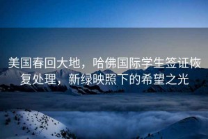 美國(guó)春回大地，哈佛國(guó)際學(xué)生簽證恢復(fù)處理，新綠映照下的希望之光