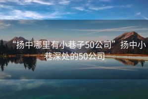 “揚(yáng)中哪里有小巷子50公司”揚(yáng)中小巷深處的50公司