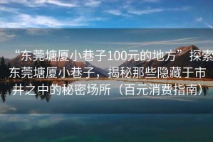 “東莞塘廈小巷子100元的地方”探索東莞塘廈小巷子，揭秘那些隱藏于市井之中的秘密場所（百元消費(fèi)指南）