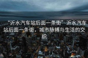 “沂水汽車(chē)站后面一條街”沂水汽車(chē)站后面一條街，城市脈搏與生活的交織