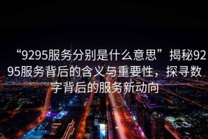 “9295服務分別是什么意思”揭秘9295服務背后的含義與重要性，探尋數字背后的服務新動向