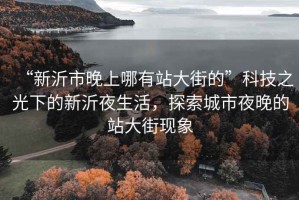 “新沂市晚上哪有站大街的”科技之光下的新沂夜生活，探索城市夜晚的站大街現(xiàn)象