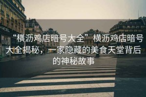 “橫瀝雞店暗號大全”橫瀝雞店暗號大全揭秘，一家隱藏的美食天堂背后的神秘故事