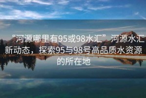 “河源哪里有95或98水匯”河源水匯新動態(tài)，探索95與98號高品質水資源的所在地