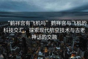 “鶴祥宮有飛機嗎”鶴祥宮與飛機的科技交匯，探索現(xiàn)代航空技術(shù)與古老神話的交融