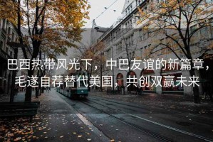 巴西熱帶風光下，中巴友誼的新篇章，毛遂自薦替代美國，共創(chuàng)雙贏未來