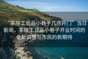 “茶陵工業(yè)品小巷子幾點(diǎn)開(kāi)門(mén)”當(dāng)日新聞，茶陵工業(yè)品小巷子開(kāi)業(yè)時(shí)間的全新調(diào)整與市民的新期待