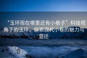 “玉環(huán)現(xiàn)在哪里還有小巷子”科技視角下的玉環(huán)，探索現(xiàn)代小巷的魅力與變遷