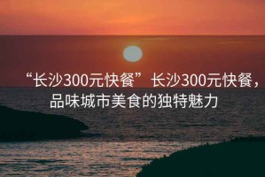 “長(zhǎng)沙300元快餐”長(zhǎng)沙300元快餐，品味城市美食的獨(dú)特魅力