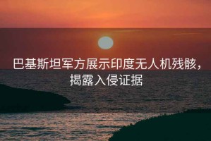 巴基斯坦軍方展示印度無人機殘骸，揭露入侵證據(jù)