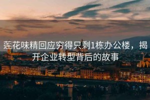 蓮花味精回應(yīng)窮得只剩1棟辦公樓，揭開企業(yè)轉(zhuǎn)型背后的故事