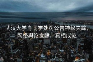 武漢大學(xué)肖同學(xué)處罰公告神秘失蹤，網(wǎng)絡(luò)輿論發(fā)酵，真相成謎