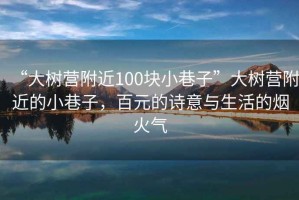 “大樹營附近100塊小巷子”大樹營附近的小巷子，百元的詩意與生活的煙火氣