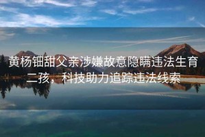 黃楊鈿甜父親涉嫌故意隱瞞違法生育二孩，科技助力追蹤違法線索