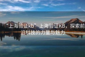 “上海驗證kb”上海驗證KB，探索前沿科技的力量與魅力