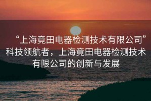 “上海竟田電器檢測(cè)技術(shù)有限公司”科技領(lǐng)航者，上海竟田電器檢測(cè)技術(shù)有限公司的創(chuàng)新與發(fā)展