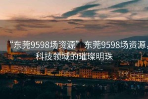 “東莞9598場資源”東莞9598場資源，科技領(lǐng)域的璀璨明珠