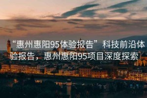 “惠州惠陽95體驗(yàn)報(bào)告”科技前沿體驗(yàn)報(bào)告，惠州惠陽95項(xiàng)目深度探索