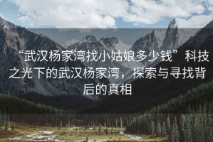 “武漢楊家灣找小姑娘多少錢”科技之光下的武漢楊家灣，探索與尋找背后的真相