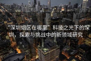 “深圳娼區(qū)在哪里”科技之光下的深圳，探索與挑戰(zhàn)中的新領(lǐng)域研究
