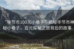 “畢節(jié)市100元小巷子”揭秘畢節(jié)市神秘小巷子，百元探秘之旅背后的故事