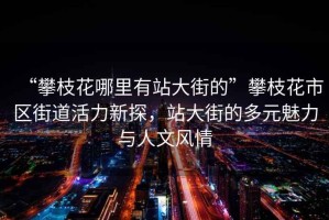 “攀枝花哪里有站大街的”攀枝花市區(qū)街道活力新探，站大街的多元魅力與人文風(fēng)情