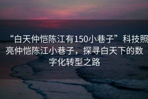 “白天仲愷陳江有150小巷子”科技照亮仲愷陳江小巷子，探尋白天下的數(shù)字化轉(zhuǎn)型之路