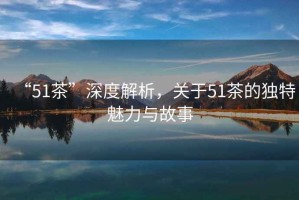 “51茶”深度解析，關(guān)于51茶的獨(dú)特魅力與故事