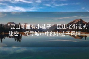 “昆山哪里有小巷子”昆山老街巷的秘密，探尋城市中的小巷子風(fēng)情