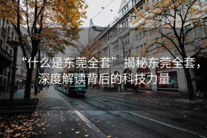“什么是東莞全套”揭秘東莞全套，深度解讀背后的科技力量