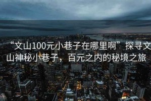 “文山100元小巷子在哪里啊”探尋文山神秘小巷子，百元之內(nèi)的秘境之旅