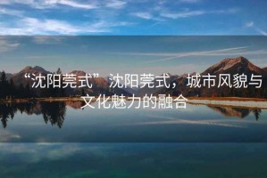 “沈陽莞式”沈陽莞式，城市風貌與文化魅力的融合