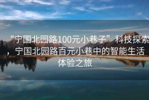 “寧國北園路100元小巷子”科技探索，寧國北園路百元小巷中的智能生活體驗(yàn)之旅