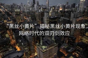 “黑絲小黃片”揭秘黑絲小黃片現(xiàn)象，網(wǎng)絡(luò)時代的雙刃劍效應