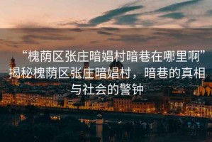 “槐蔭區(qū)張莊暗娼村暗巷在哪里啊”揭秘槐蔭區(qū)張莊暗娼村，暗巷的真相與社會的警鐘