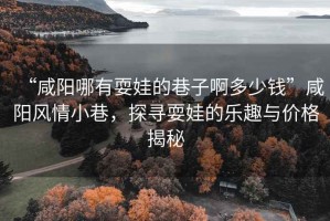“咸陽哪有耍娃的巷子啊多少錢”咸陽風(fēng)情小巷，探尋耍娃的樂趣與價(jià)格揭秘