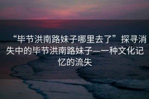 “畢節(jié)洪南路妹子哪里去了”探尋消失中的畢節(jié)洪南路妹子—一種文化記憶的流失