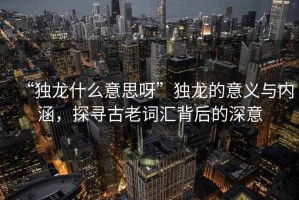 “獨(dú)龍什么意思呀”獨(dú)龍的意義與內(nèi)涵，探尋古老詞匯背后的深意