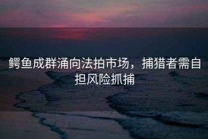 鱷魚成群涌向法拍市場，捕獵者需自擔(dān)風(fēng)險(xiǎn)抓捕