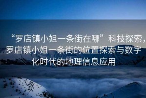 “羅店鎮(zhèn)小姐一條街在哪”科技探索，羅店鎮(zhèn)小姐一條街的位置探索與數(shù)字化時(shí)代的地理信息應(yīng)用