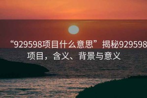 “929598項(xiàng)目什么意思”揭秘929598項(xiàng)目，含義、背景與意義
