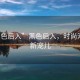 “黑色后入”黑色后入，時(shí)尚潮流的新寵兒