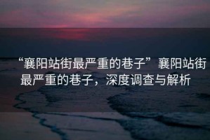 “襄陽站街最嚴(yán)重的巷子”襄陽站街最嚴(yán)重的巷子，深度調(diào)查與解析