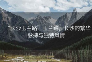 “長沙玉蘭路”玉蘭路，長沙的繁華脈搏與獨特風(fēng)情