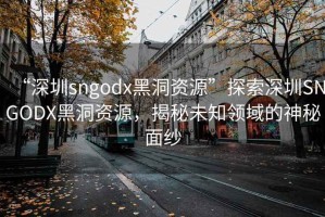 “深圳sngodx黑洞資源”探索深圳SNGODX黑洞資源，揭秘未知領(lǐng)域的神秘面紗