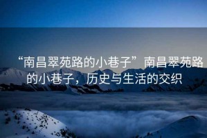 “南昌翠苑路的小巷子”南昌翠苑路的小巷子，歷史與生活的交織
