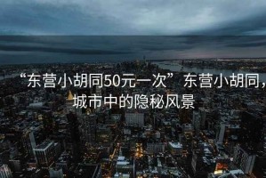 “東營小胡同50元一次”東營小胡同，城市中的隱秘風(fēng)景